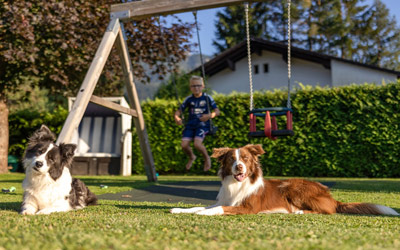 Gästehaus Nassfeld - Hunde Urlaub